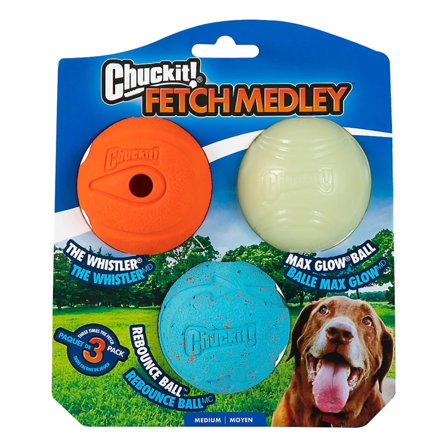 PetSmart Chuckit! Fetch Medley Ball Dog Toys - 3 Pack Durable Rubber Balls for Active Dogs