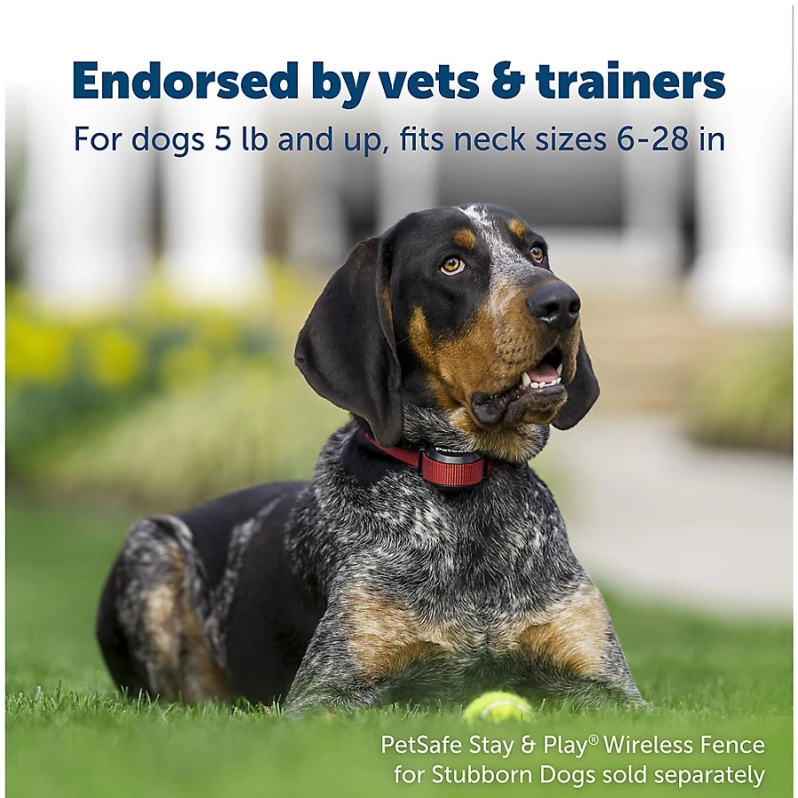 PetSmart StayPlay Stubborn Dog Fence Receiver Collar – PetSafe Waterproof Training Collar for Dogs