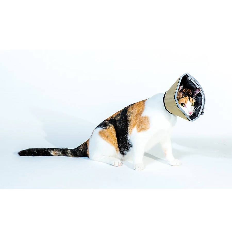 PetSmart All Four Paws Tan Comfortable Cone Dog E-Collar - Soft Recovery Collar for Pets