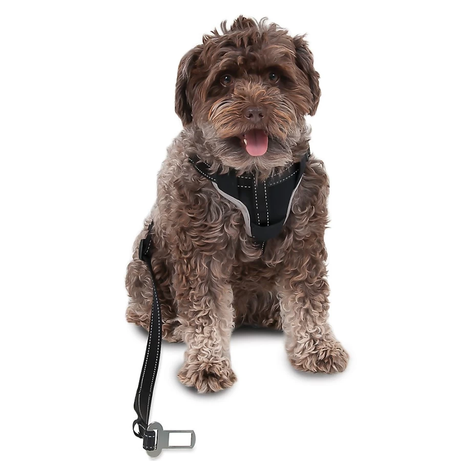 PetSmart Ultimate Travel Dog Harness & Leash for Safe and Comfortable Walks
