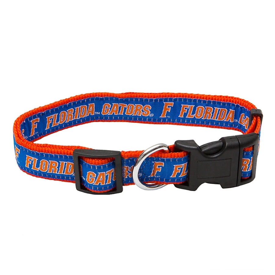 Florida Gators NCAA Officially Licensed Team Dog Collar – PetSmart