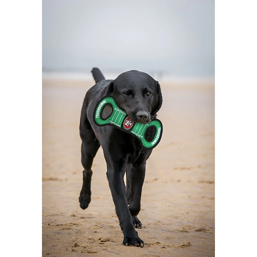 "PetSmart San Francisco 49ers NFL Dog Toy – Durable Chew Toy for Football Fans"