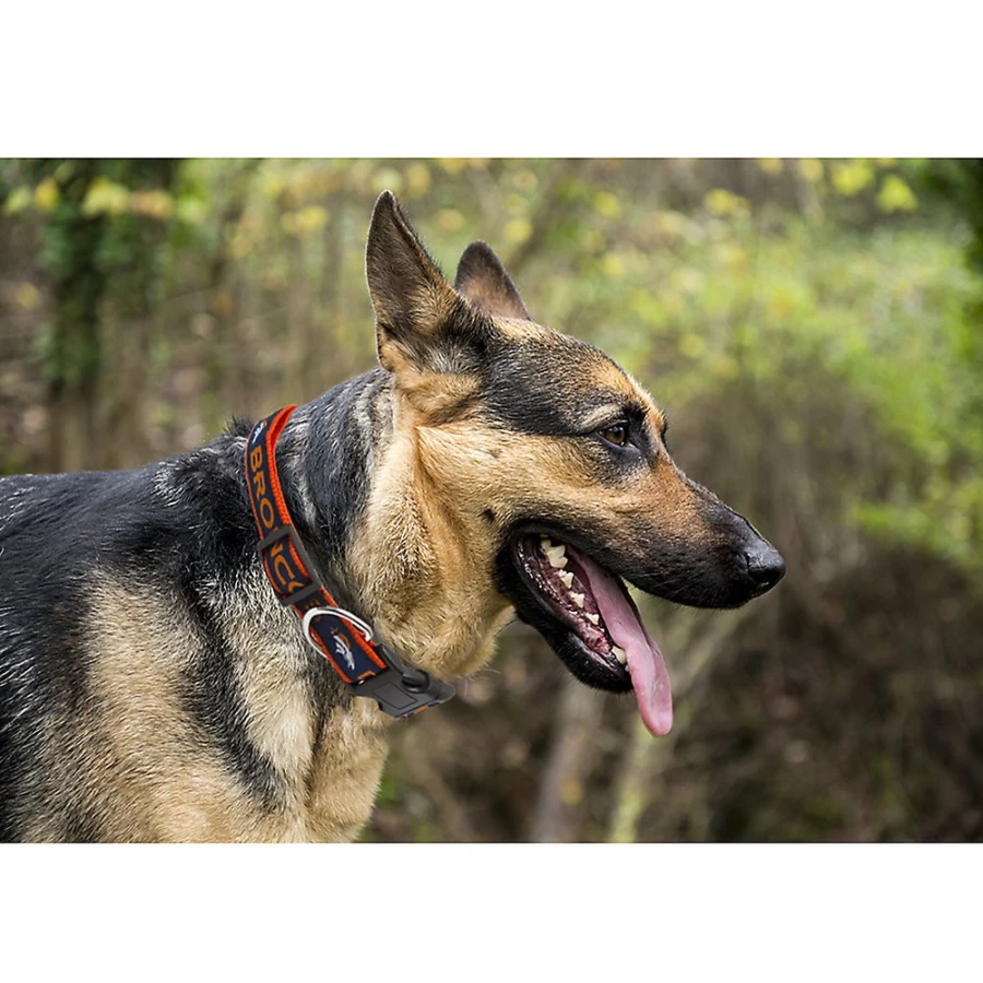 PetSmart Denver Broncos NFL Team Logo Adjustable Dog Collar for Fans