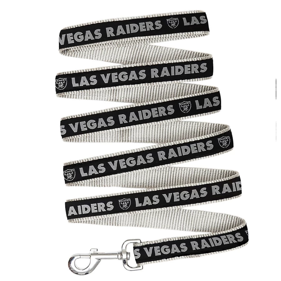PetSmart Las Vegas Raiders NFL Themed Dog Leash for Pets