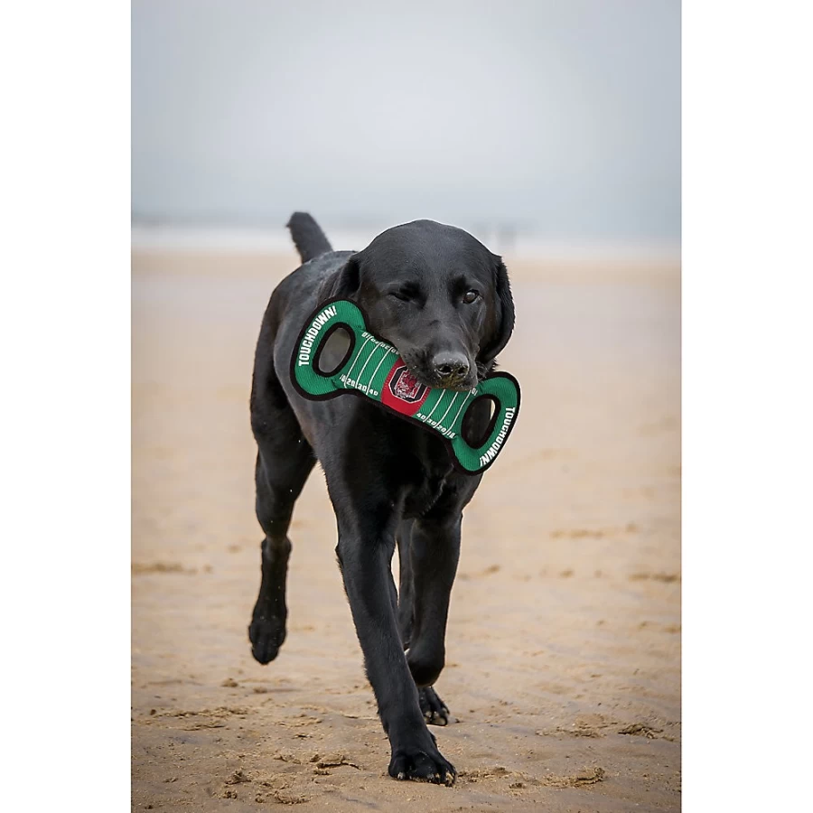 "PetSmart South Carolina Gamecocks NCAA Chew-Resistant Dog Toy for College Fans"
