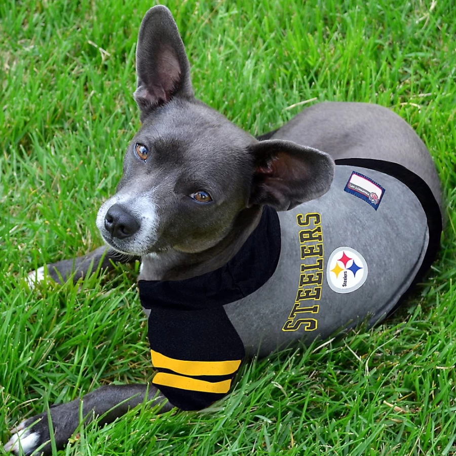 Pittsburgh Steelers NFL Hooded Sweatshirt - PetSmart Officially Licensed Team Apparel