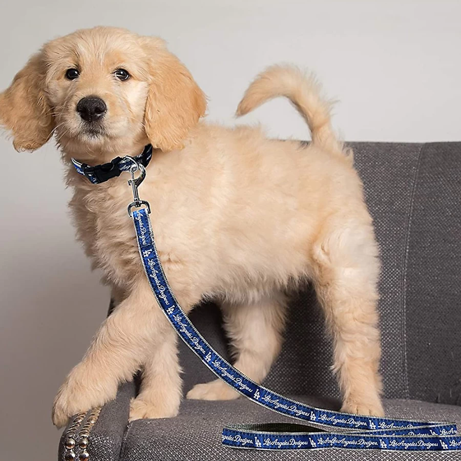 "PetSmart Los Angeles Dodgers MLB Dog Leash - Officially Licensed Baseball Pet Accessory"