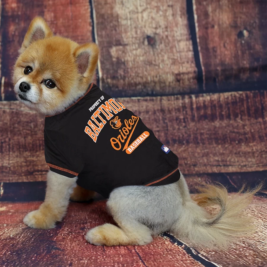 "PetSmart Baltimore Orioles MLB Team T-Shirt for Fans"