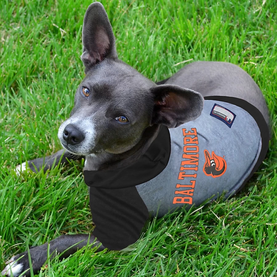 "PetSmart Baltimore Orioles MLB Hooded Sweatshirt – Fan Apparel & Team Gear"