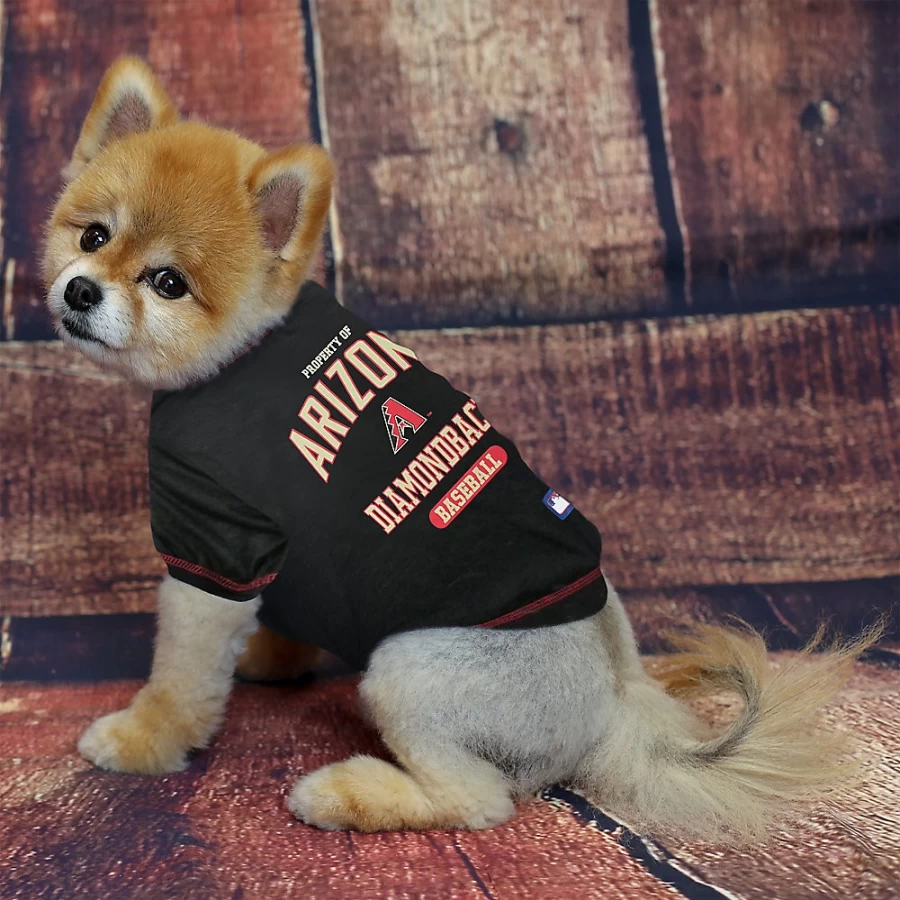 "PetSmart Arizona Diamondbacks MLB Fan Tee - Official Team Baseball Shirt"