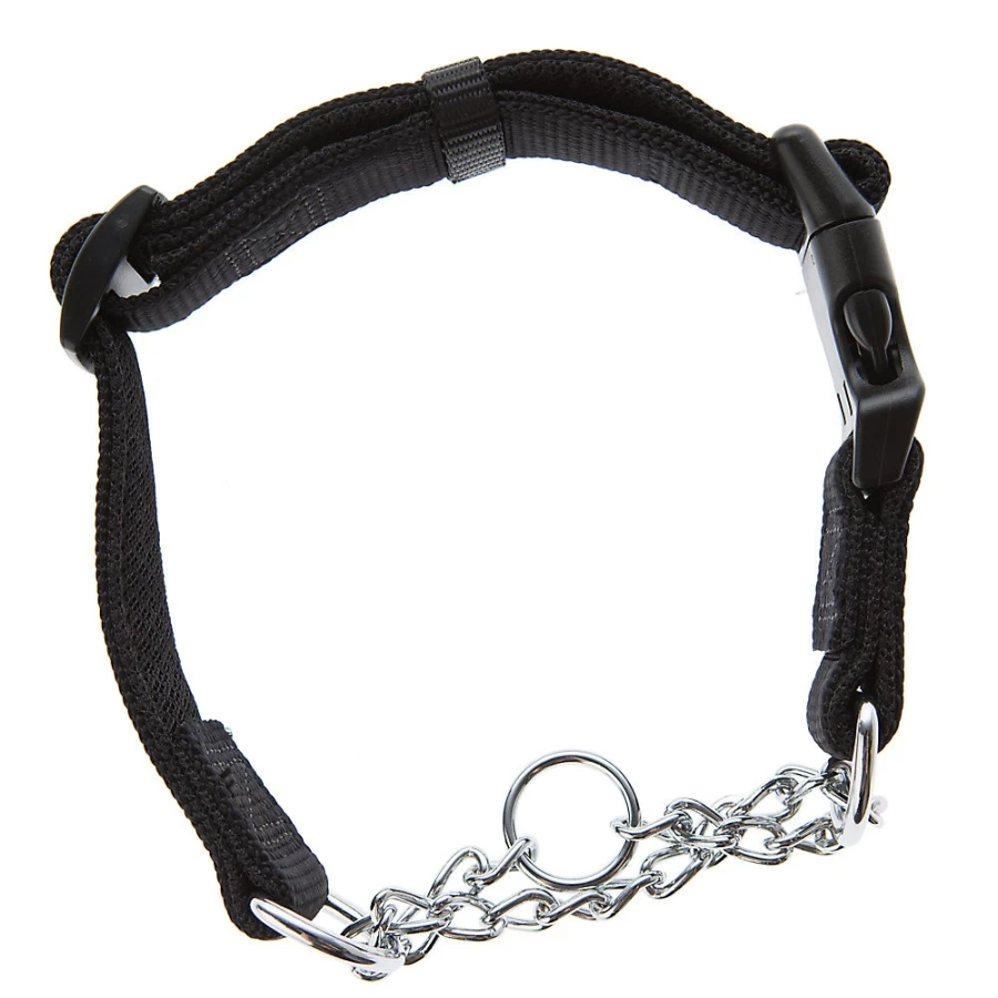 PetSmart Top Paw Comfort Padded Chain Dog Collar for Secure Leash Attachment