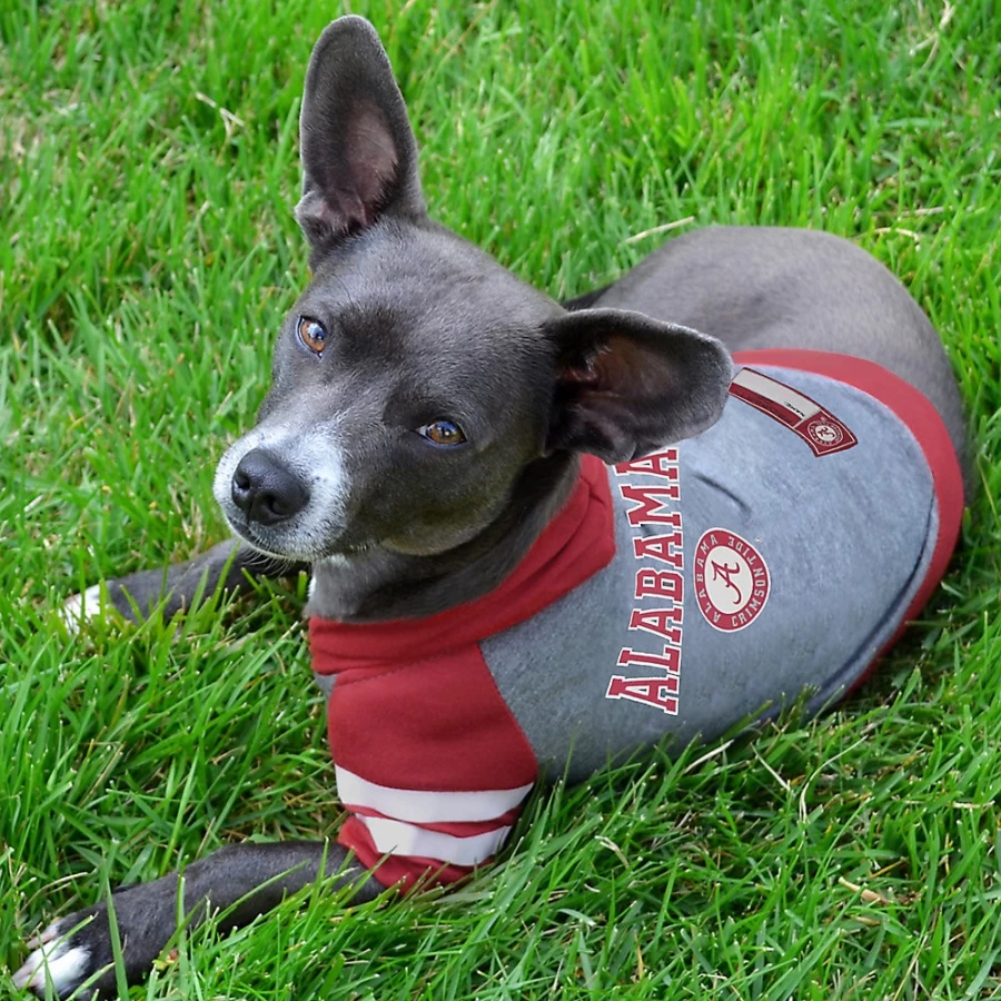 "PetSmart Alabama Crimson Tide NCAA Fan Hoodie & T-Shirt Combo"