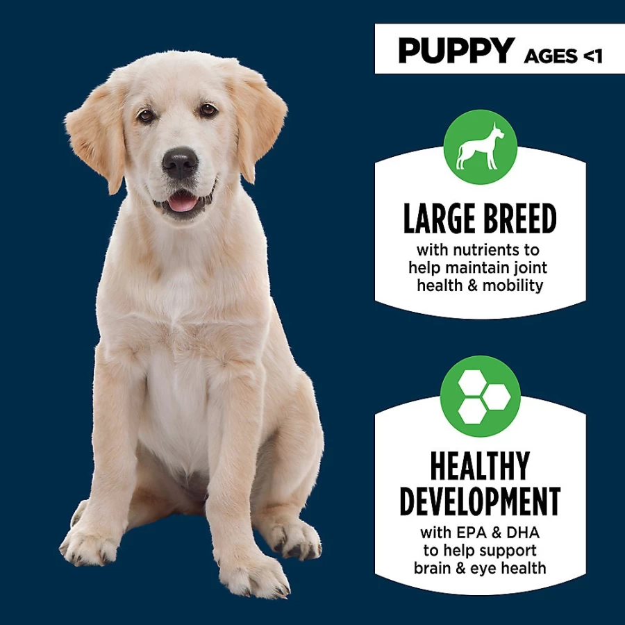 PetSmart Authority Everyday Health Large Breed Puppy Dry Dog Food - Chicken Recipe for Optimal Growth