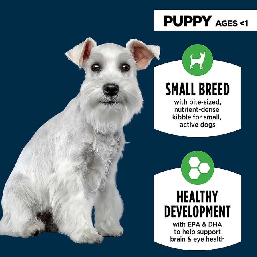 PetSmart Authority Everyday Health Small Breed Puppy Dry Dog Food - Chicken Recipe for Optimal Growth