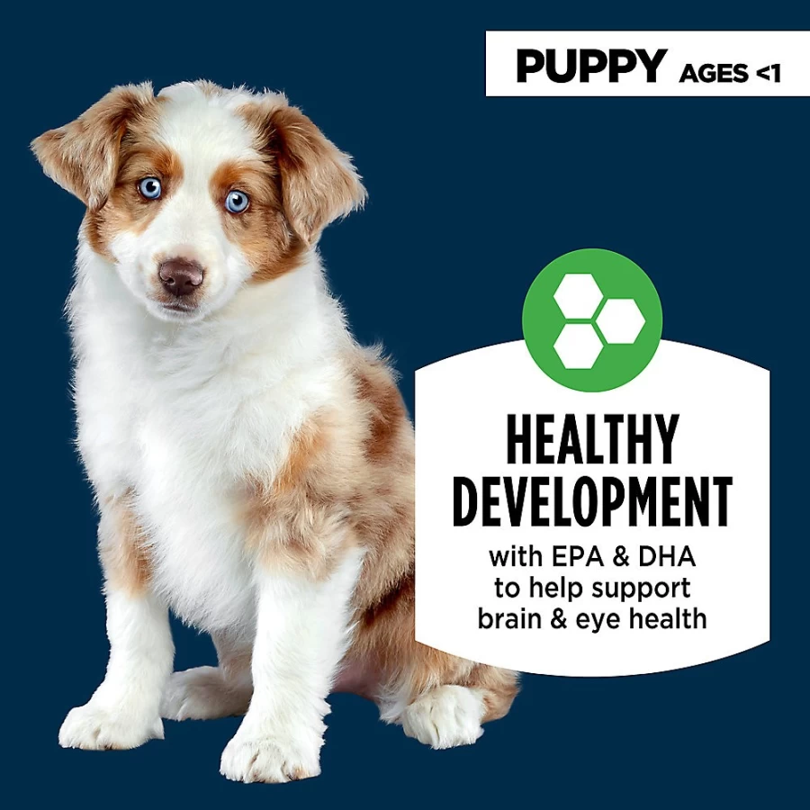 PetSmart Authority Everyday Health Puppy Dry Dog Food - Chicken Recipe for Optimal Growth