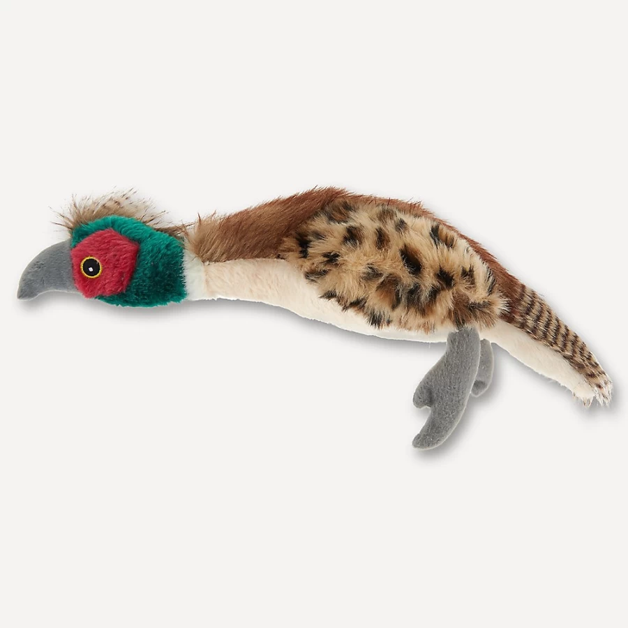 PetSmart Joyhound Plush Pheasant Dog Toy with Squeaker - Realistic, Comfy & Fun Chewable Plaything for Pets