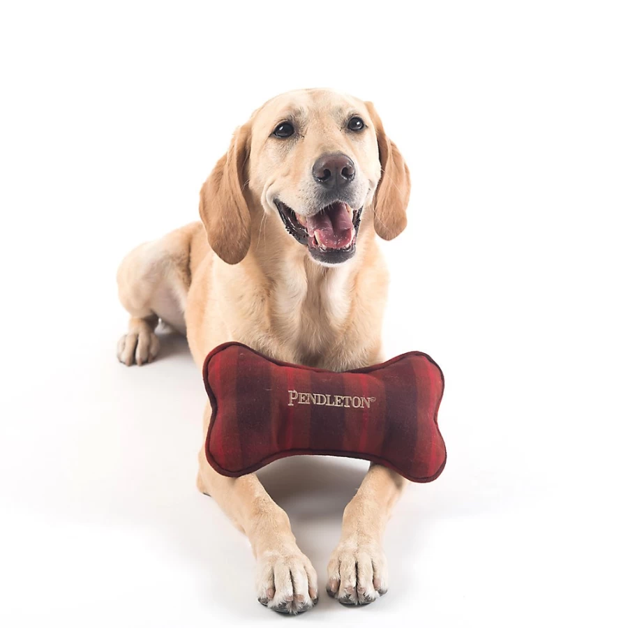 PetSmart Pendleton Ombre Plaid Plush Bone Dog Toy for Chewing and Play