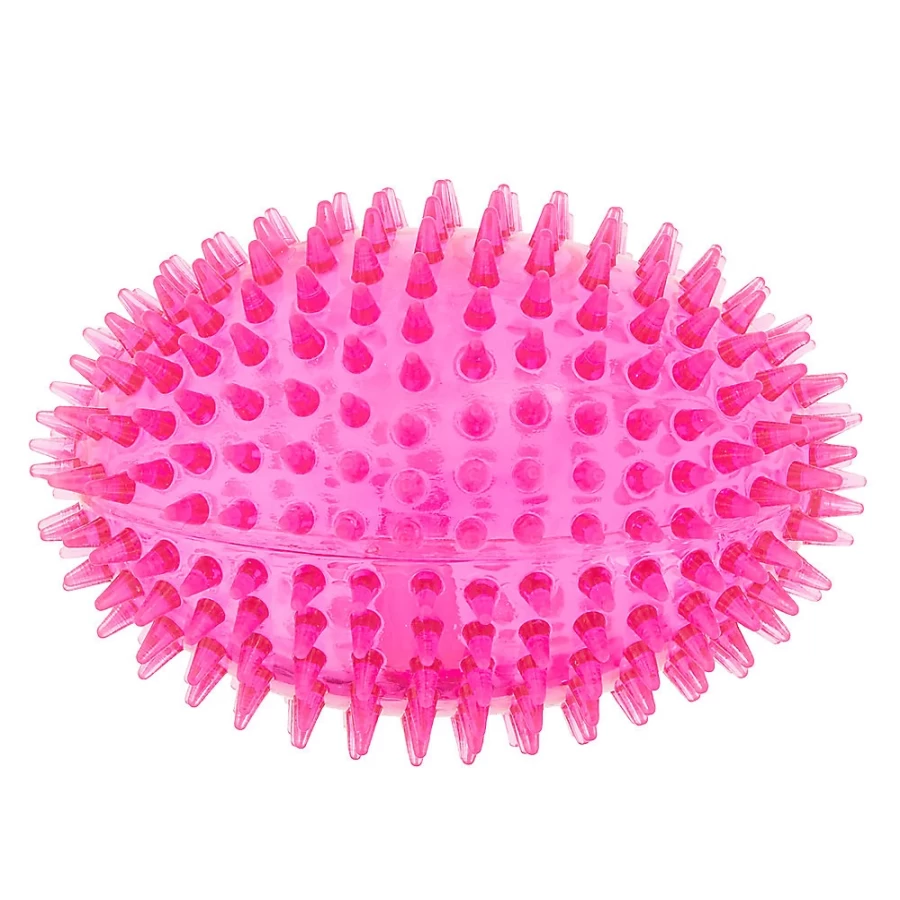 PetSmart Top Paw Spiky Squeaker Football Dog Toy - Interactive Chew Play for Dogs
