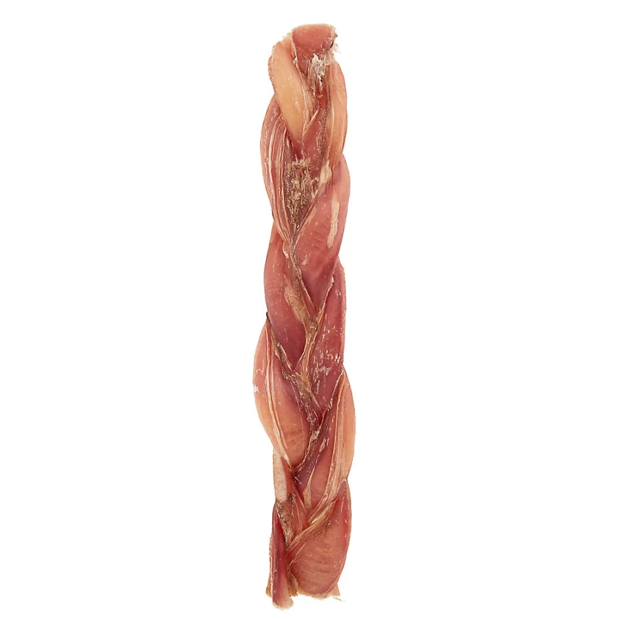 PetSmart Dentley's 9-Inch Braided Bully Stick Dog Chew - Single Count, Natural Dog Treat for Aggressive Chewers