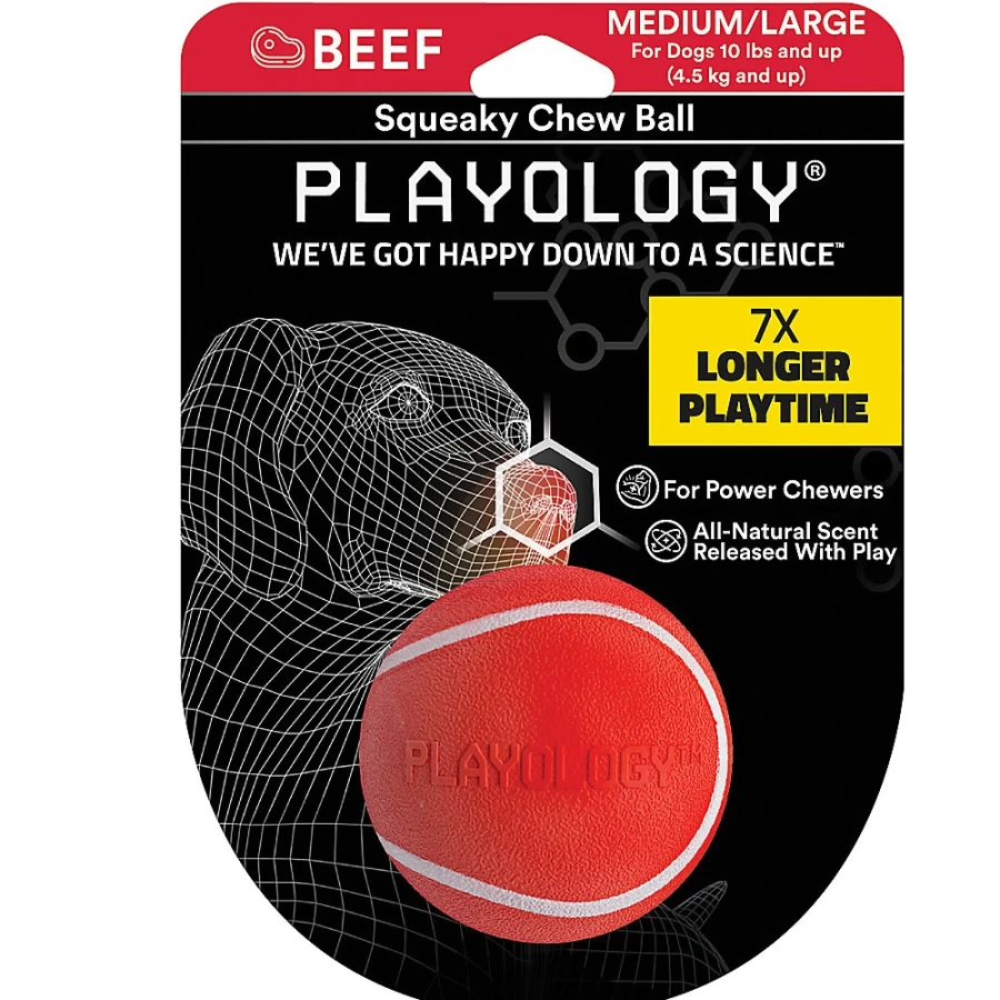 PetSmart Playology Squeaky Dog Chew Toy with Beef Scent - Durable Interactive Ball for Puppies & Dogs