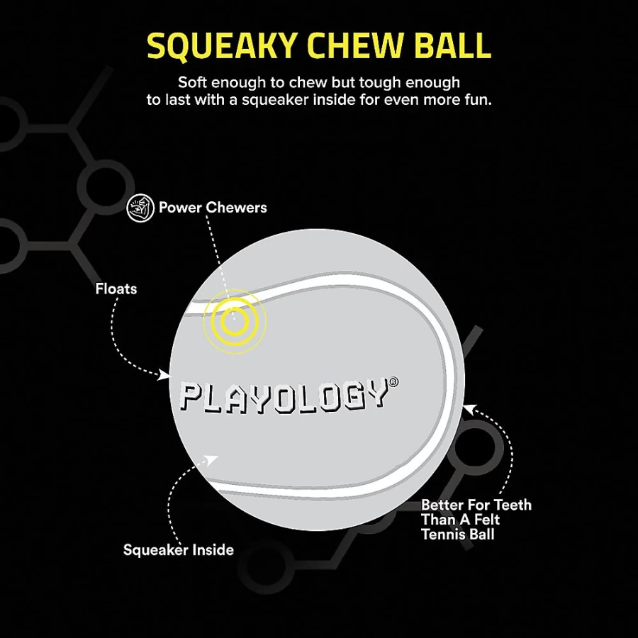PetSmart Playology Peanut Butter Scented Chew Ball - Durable Squeaky Dog Toy for Interactive Play