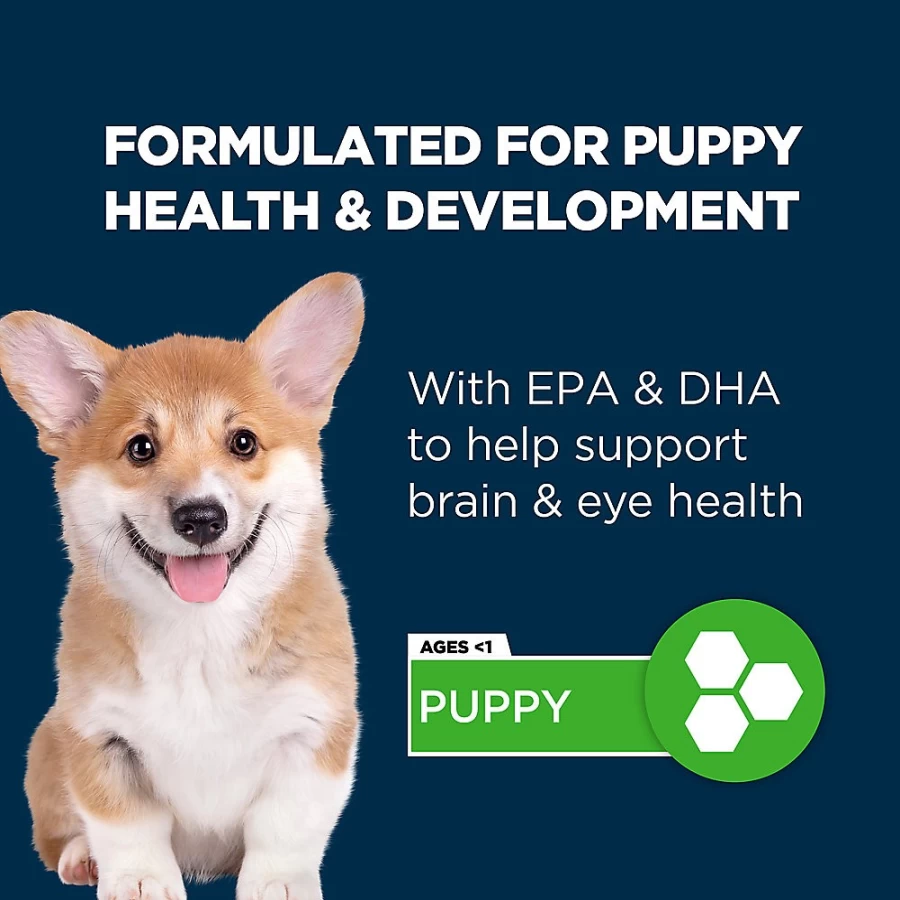 PetSmart Authority Everyday Health Puppy Dry Dog Food - High Protein Beef Recipe for Growing Dogs