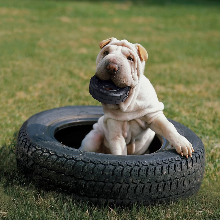 PetSmart KONG Durable Chew-Proof Dog Toy for Aggressive Chewers – Tough Rubber Tire Design