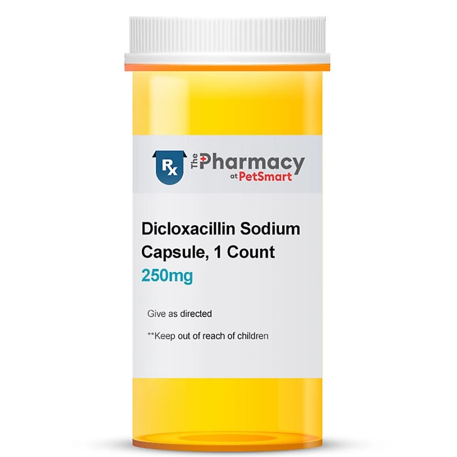 PetSmart Dicloxacillin Sodium Capsules - 250mg & 500mg Dosage for Effective Treatment