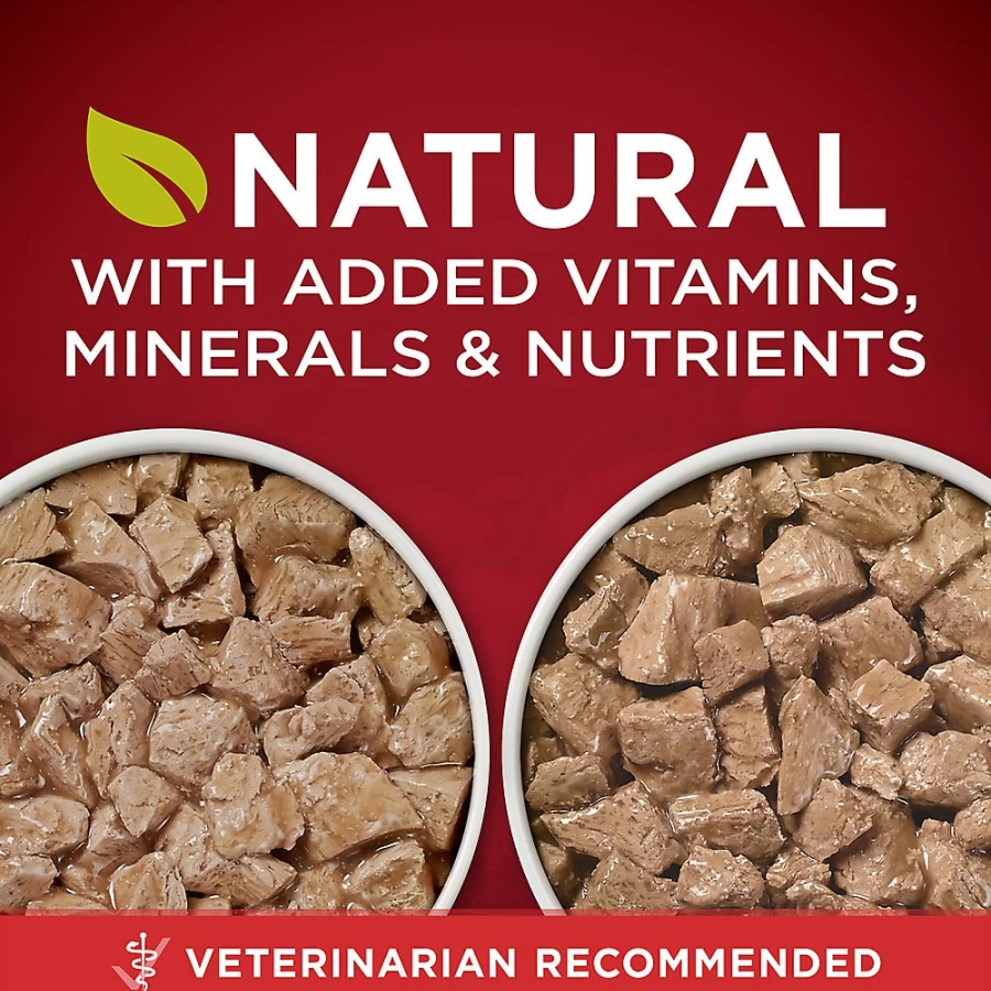 PetSmart Purina ONE SmartBlend Natural Adult Wet Dog Food, 5.71 lb. Can