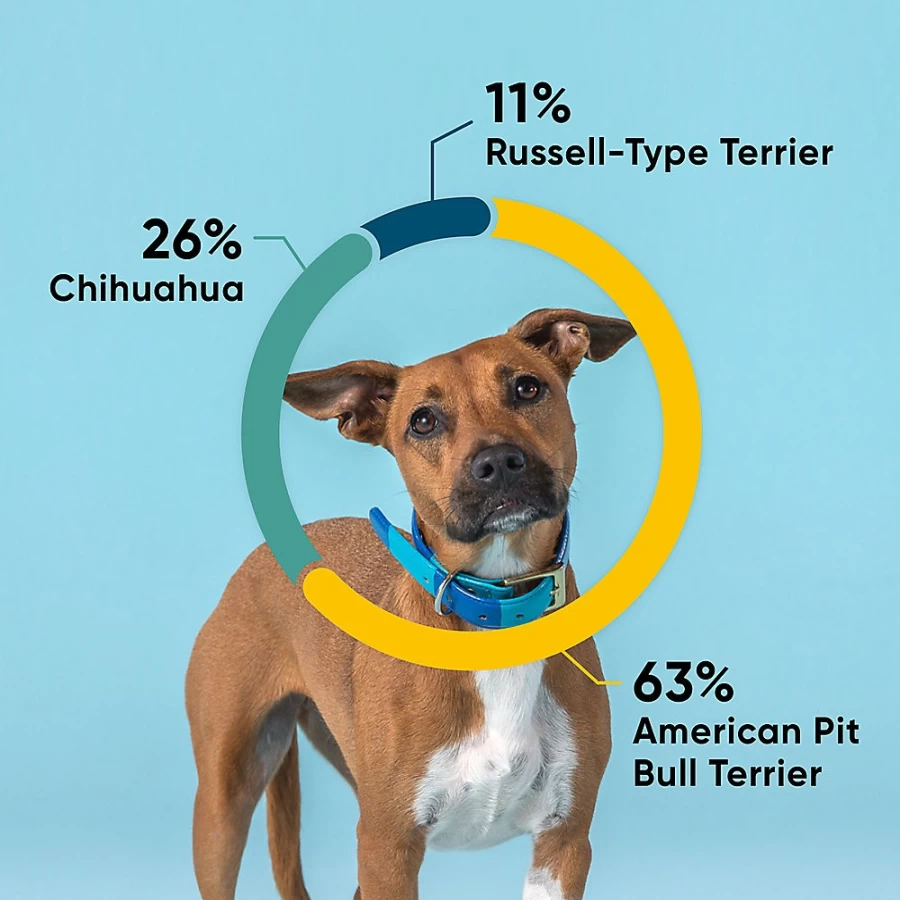 PetSmart Embark Breed Identification & Canine Health Genetic Test Kit