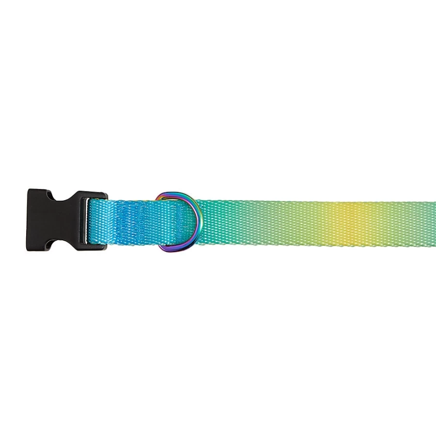 PetSmart Top Paw Ombre Polyester Dog Collar - Yellow & Blue Adjustable Pet Collar for Comfort & Style