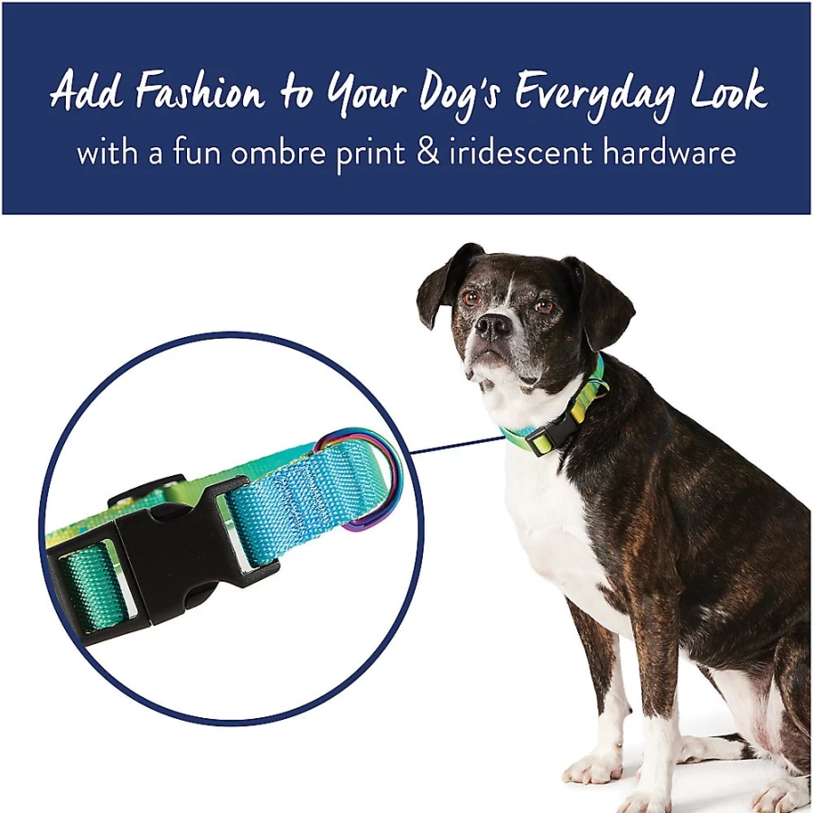 PetSmart Top Paw Ombre Polyester Dog Collar - Yellow & Blue Adjustable Pet Collar for Comfort & Style
