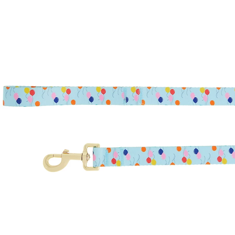 PetSmart Top Paw 4-Foot Birthday Dog Leash for Celebrations