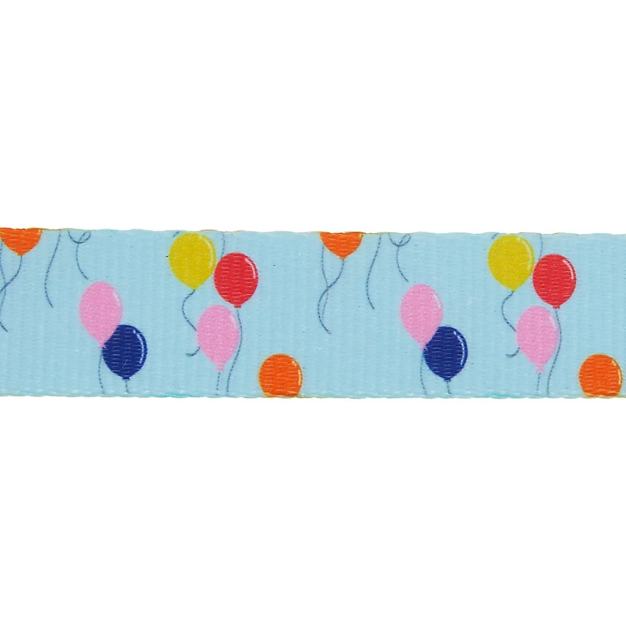 PetSmart Top Paw 4-Foot Birthday Dog Leash for Celebrations