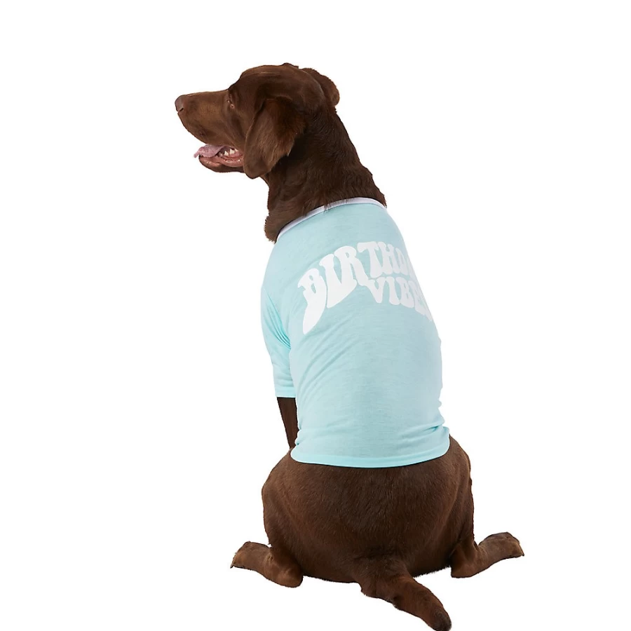 PetSmart Top Paw Birthday Vibes Dog T-Shirt for Celebrations