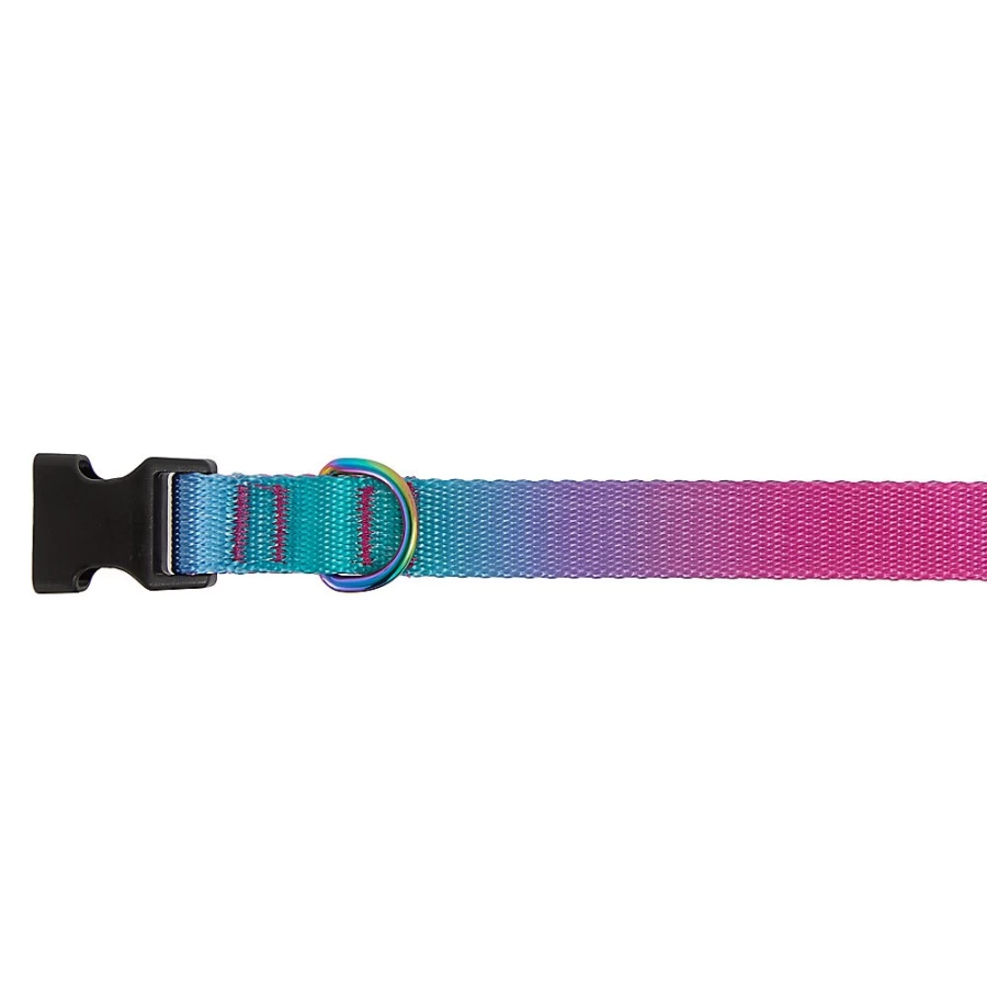 PetSmart Pink & Teal Ombre Dog Collar - Top Paw Adjustable Pet Collar for Small & Medium Dogs