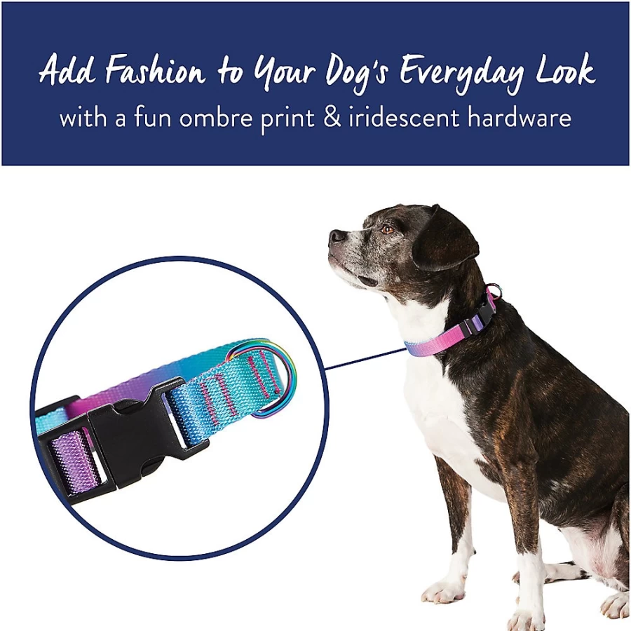PetSmart Pink & Teal Ombre Dog Collar - Top Paw Adjustable Pet Collar for Small & Medium Dogs