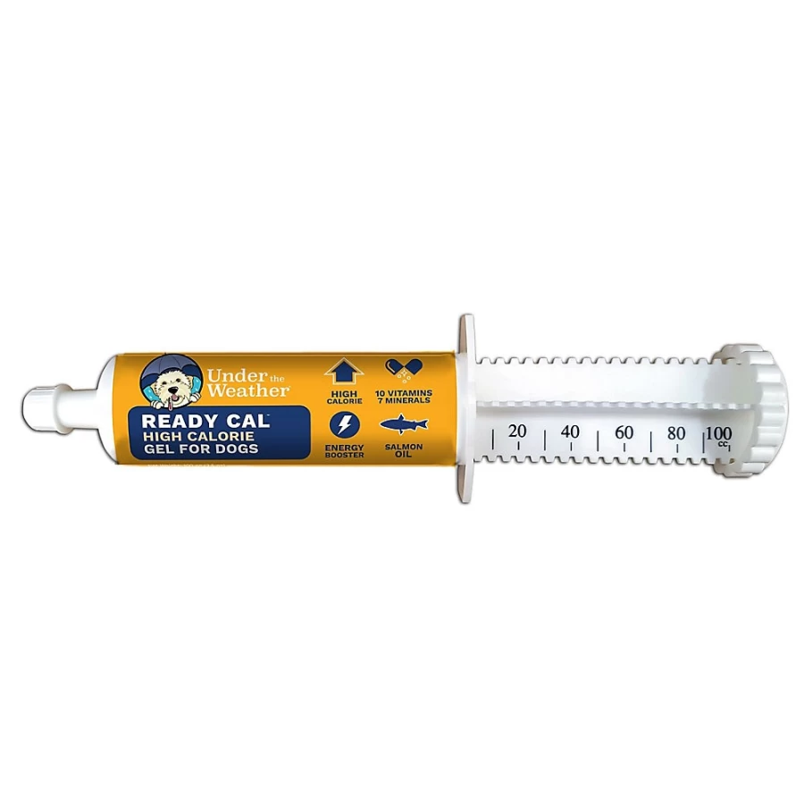 PetSmart High-Calorie Nutritional Gel for Dogs - Under the Weather Ready Cal Supplement (100cc Syringe)