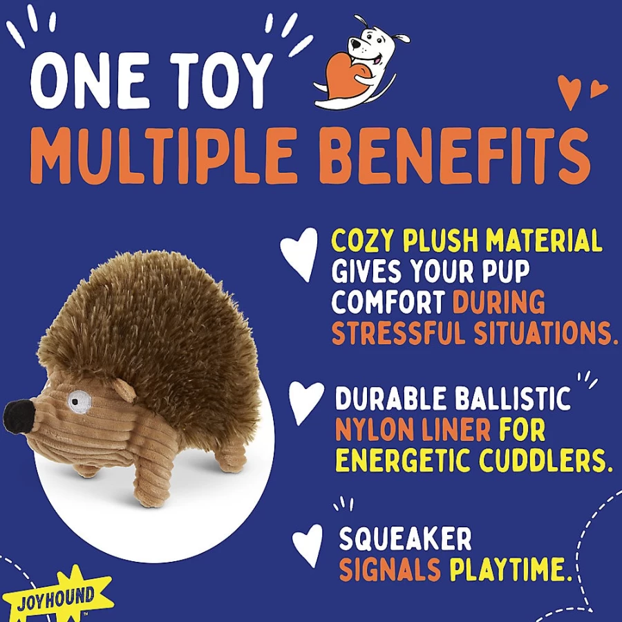 PetSmart Joyhound Plush Hedgehog Dog Toy with Squeaker & Crinkle - Bite Shield Protection for Safe Play
