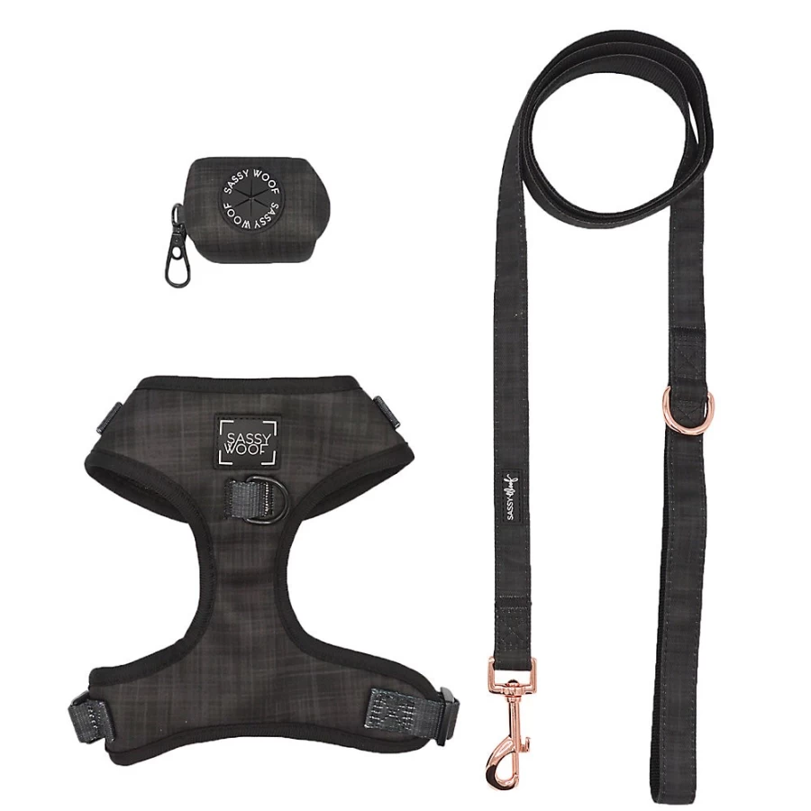 PetSmart Sassy Woof Black Dog Harness, Leash, and Waste Bag Holder Bundle for Pets