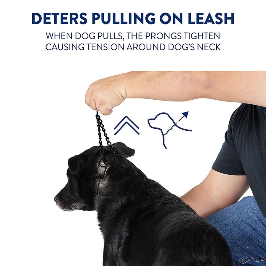 PetSmart Top Paw No-Pull Prong Dog Collar – Adjustable Stainless Steel Training Collar for Large Dogs