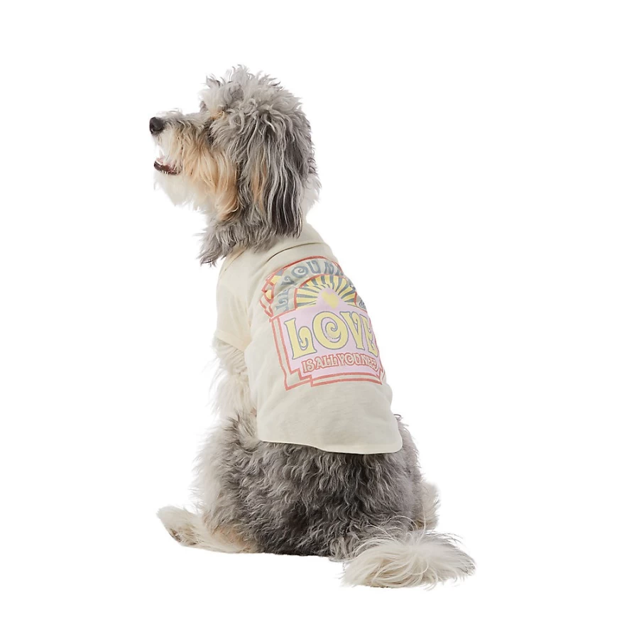 "PetSmart All You Need Is Love Dog Graphic Blended Fabric Tee"