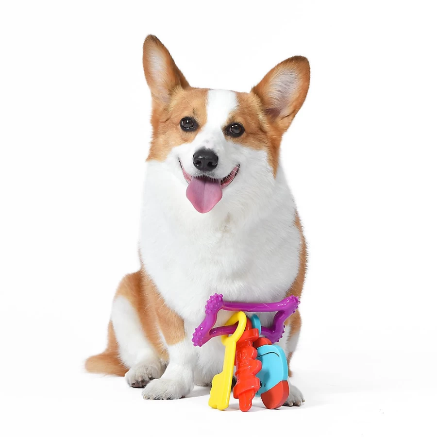 PetSmart Teething Ring Dog Toy - Chew-Resistant Puppy Teether for Small & Large Breeds by Fisher-Price