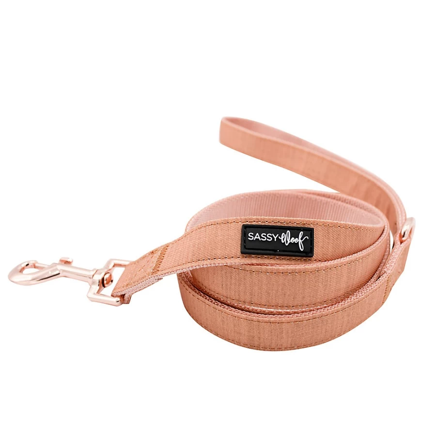 PetSmart Sassy Woof 5-Foot Apple Cider Scented Dog Leash for Medium to Large Breeds