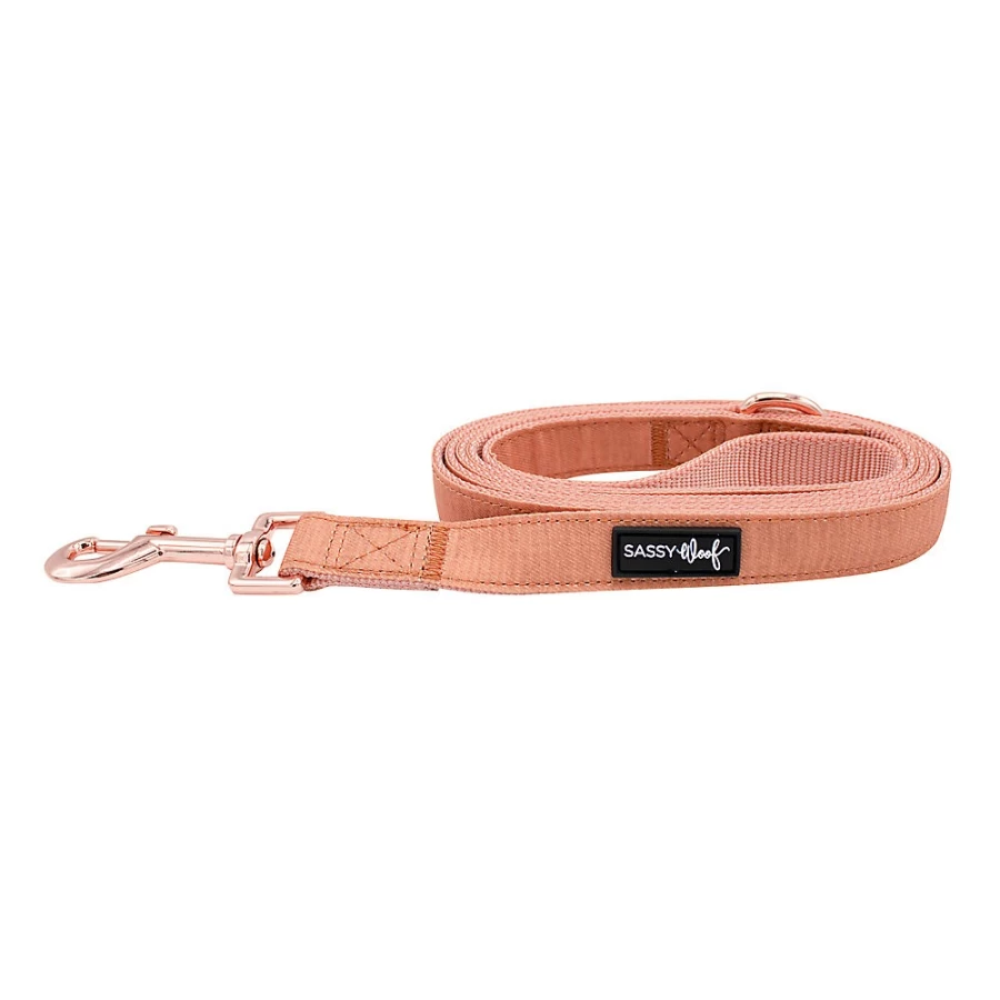 PetSmart Sassy Woof 5-Foot Apple Cider Scented Dog Leash for Medium to Large Breeds