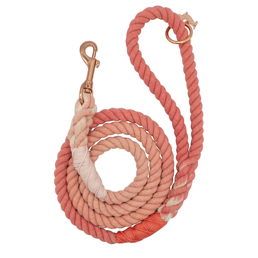 PetSmart Sassy Woof 5-Foot Rope Dog Leash for Comfortable & Secure Walks