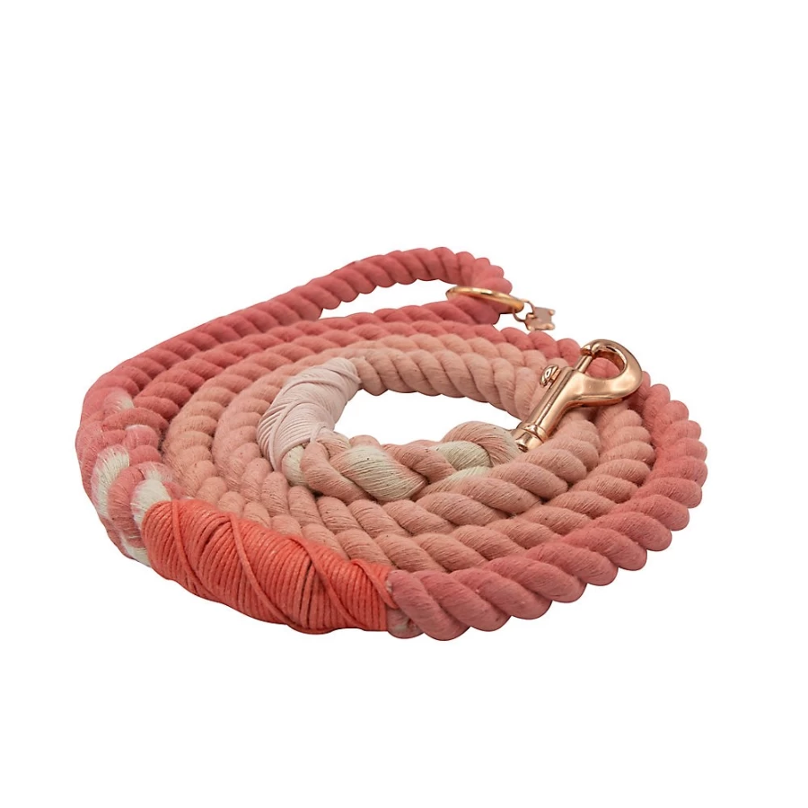 PetSmart Sassy Woof 5-Foot Rope Dog Leash for Comfortable & Secure Walks