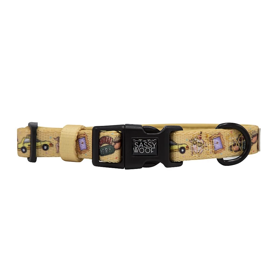 PetSmart Sassy Woof Friends Adjustable Dog Collar for Small & Medium Breeds
