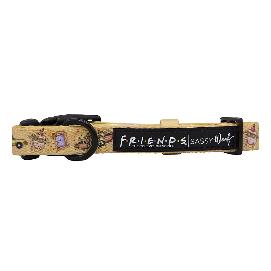 PetSmart Sassy Woof Friends Adjustable Dog Collar for Small & Medium Breeds